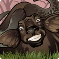 Buffalo symbol