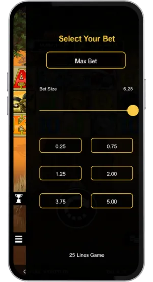 Set your stake in Mega Moolah slot